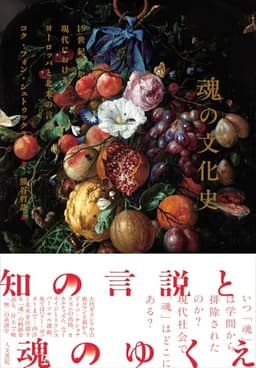 魂の文化史: 19世紀末から現代におけるヨーロッパと北米の言説